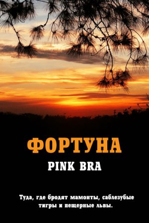 Фортуна - Pink Bra