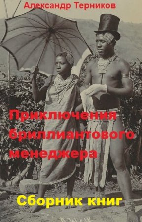 Александр Терников. Цикл книг - Приключения бриллиантового менеджера