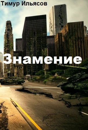 Тимур Ильясов. Цикл книг - Знамение