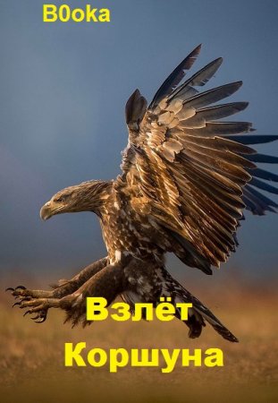 B0oka. Взлёт Коршуна - Цикл из 2 книг