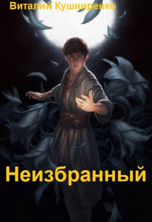 Виталий Кушниренко. Неизбранный - Цикл книг